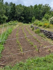 Image file: photo02.jpg