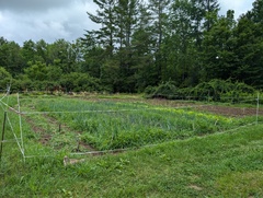 Image file: photo04.jpg