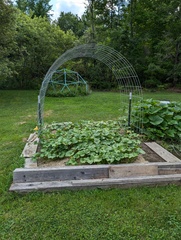 Image file: photo02.jpg