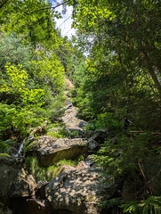 Image file: photo05.jpg