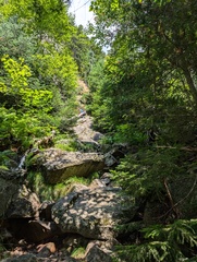 Image file: photo06.jpg