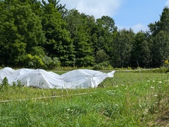 Image file: photo04.jpg