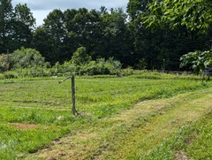 Image file: photo05.jpg