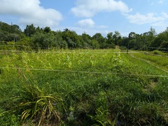 Image file: photo07.jpg