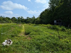 Image file: photo08.jpg