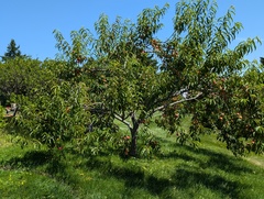 Image file: photo01.jpg