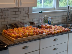 Image file: photo02.jpg