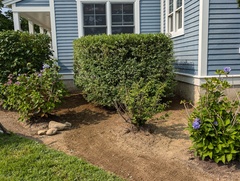 Image file: photo01.jpg