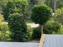 Image file: photo04.jpg