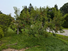 Image file: photo01.jpg