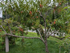 Image file: photo02.jpg