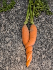 Image file: photo01.jpg