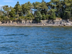 Image file: photo01.jpg