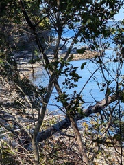 Image file: photo10.jpg