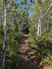 Image file: photo11.jpg