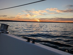 Image file: photo23.jpg