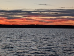 Image file: photo25.jpg