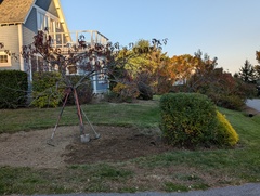 Image file: photo03.jpg