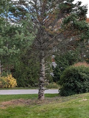 Image file: photo01.jpg