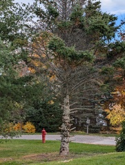 Image file: photo02.jpg