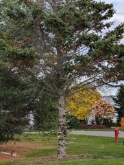 Image file: photo03.jpg