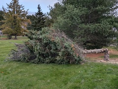 Image file: photo04.jpg