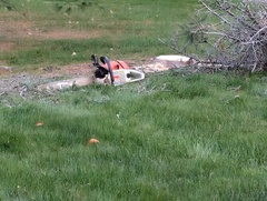 Image file: photo08.jpg