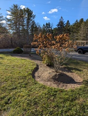 Image file: photo01.jpg