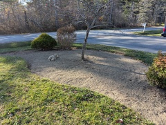 Image file: photo02.jpg