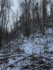 Image file: photo01.jpg