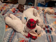 Image file: photo01.jpg