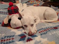 Image file: photo02.jpg