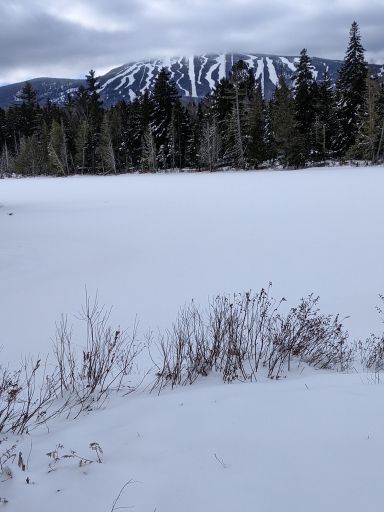 No description provided for: /2024/01-03/0312-xc-ski/photo01.html