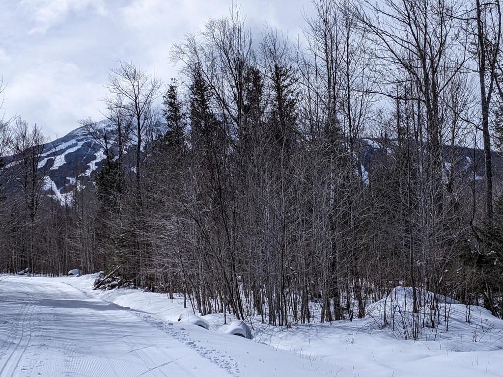 No description provided for: /2024/01-03/0312-xc-ski/photo03.html