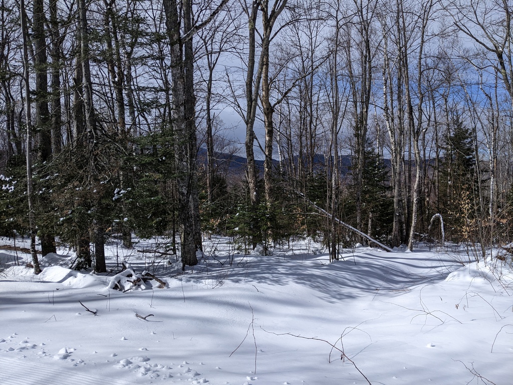 No description provided for: /2024/01-03/0312-xc-ski/photo04.html