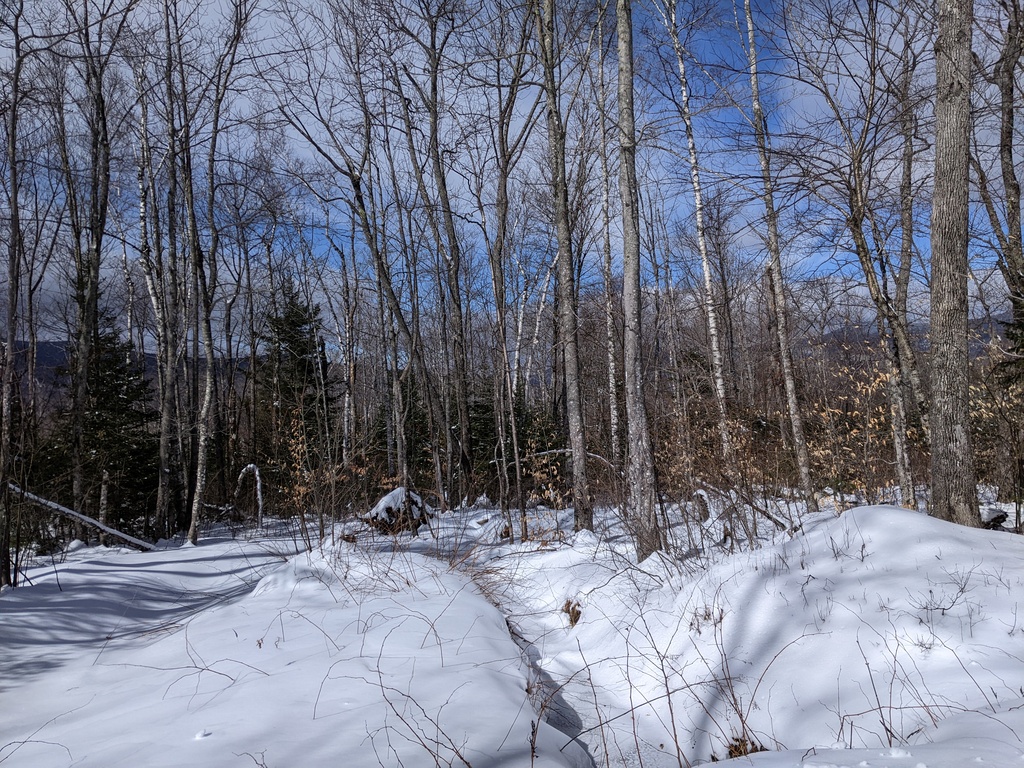 No description provided for: /2024/01-03/0312-xc-ski/photo05.html