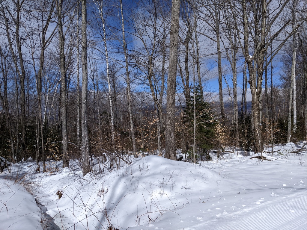 No description provided for: /2024/01-03/0312-xc-ski/photo06.html