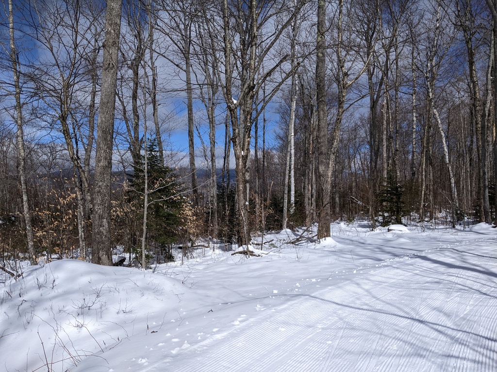 No description provided for: /2024/01-03/0312-xc-ski/photo07.html