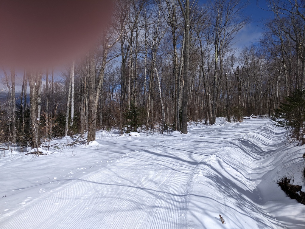 No description provided for: /2024/01-03/0312-xc-ski/photo08.html