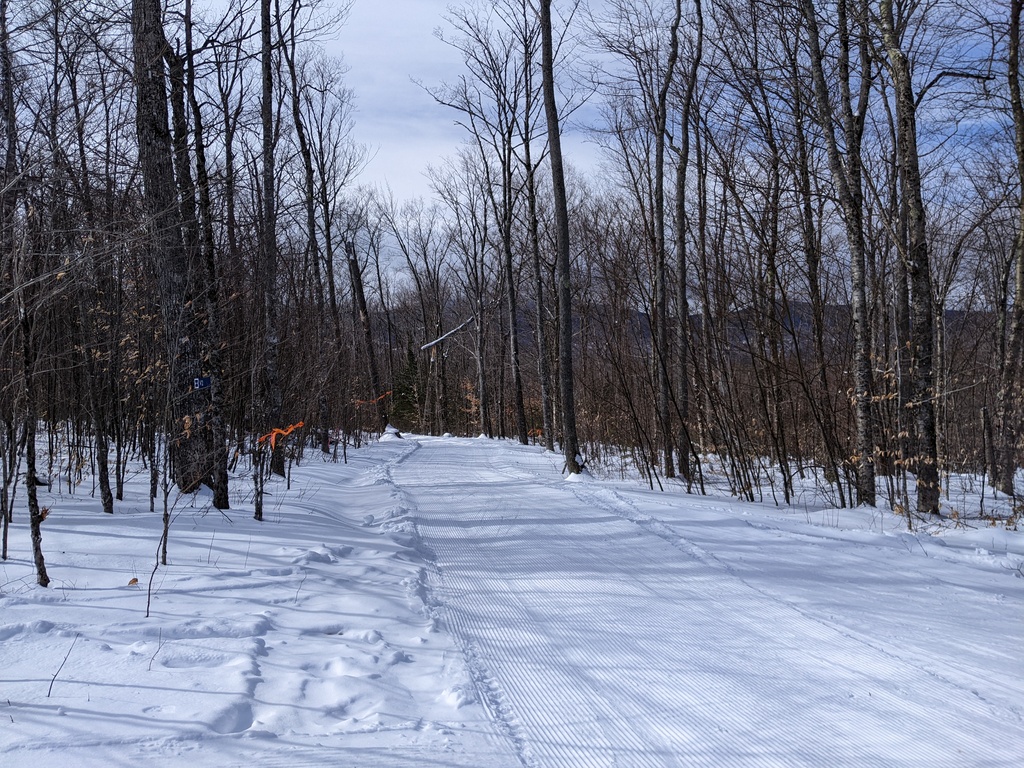 No description provided for: /2024/01-03/0312-xc-ski/photo09.html