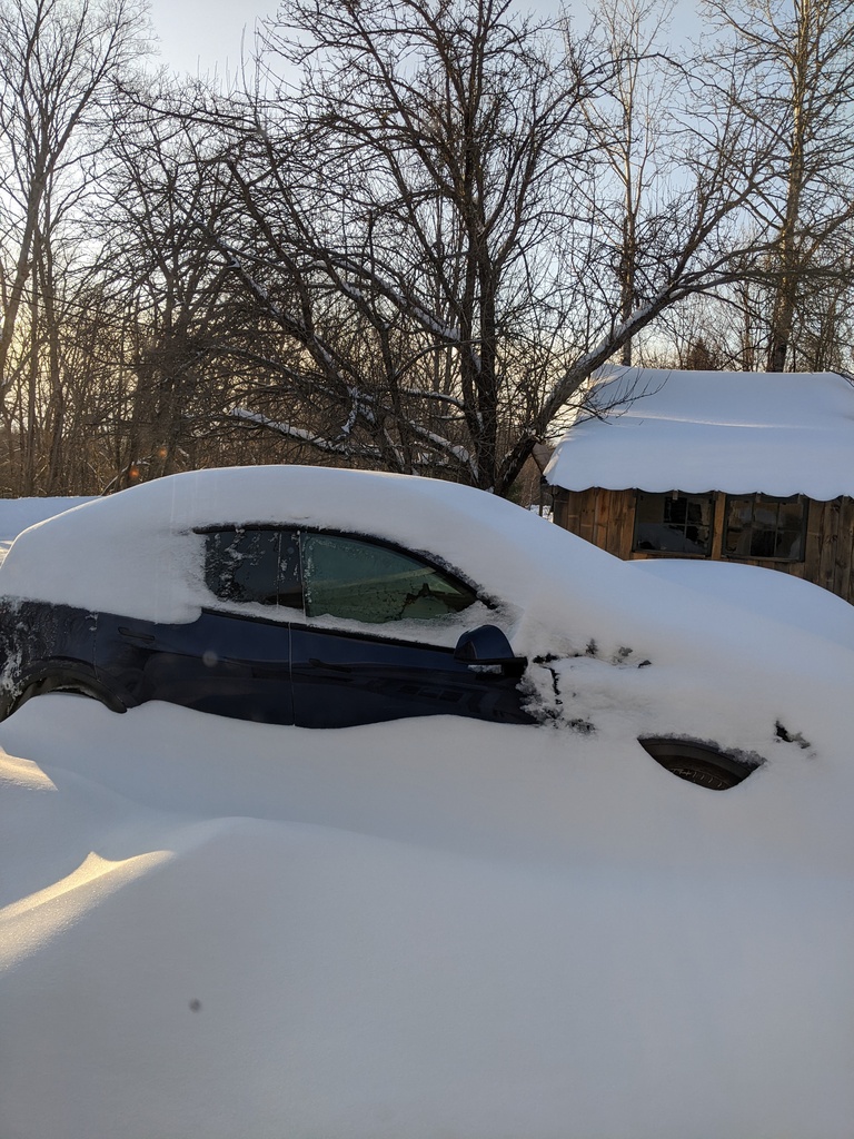 No description provided for: /2024/01-03/0324-buried-cars/photo02.html