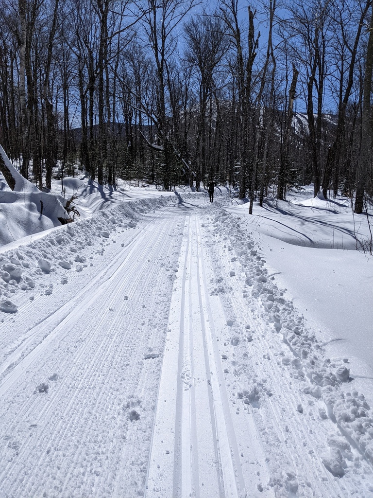 No description provided for: /2024/01-03/0324-xc-ski/photo01.html