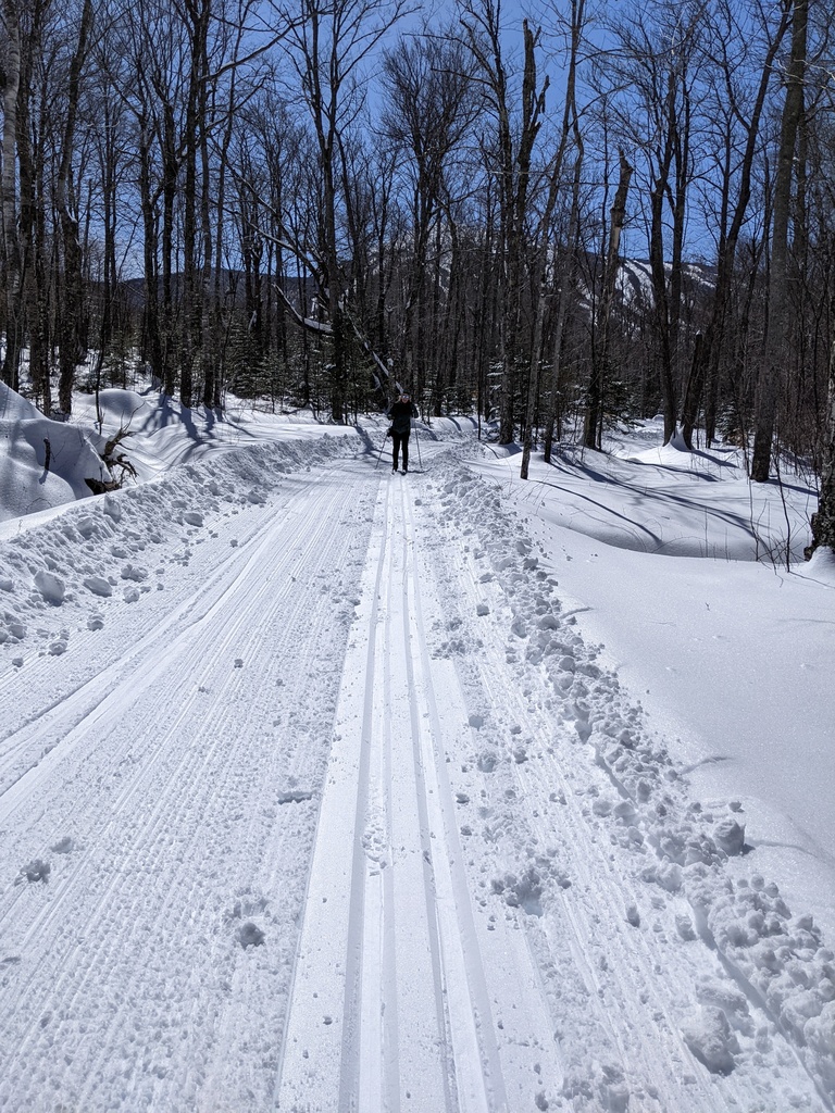 No description provided for: /2024/01-03/0324-xc-ski/photo02.html