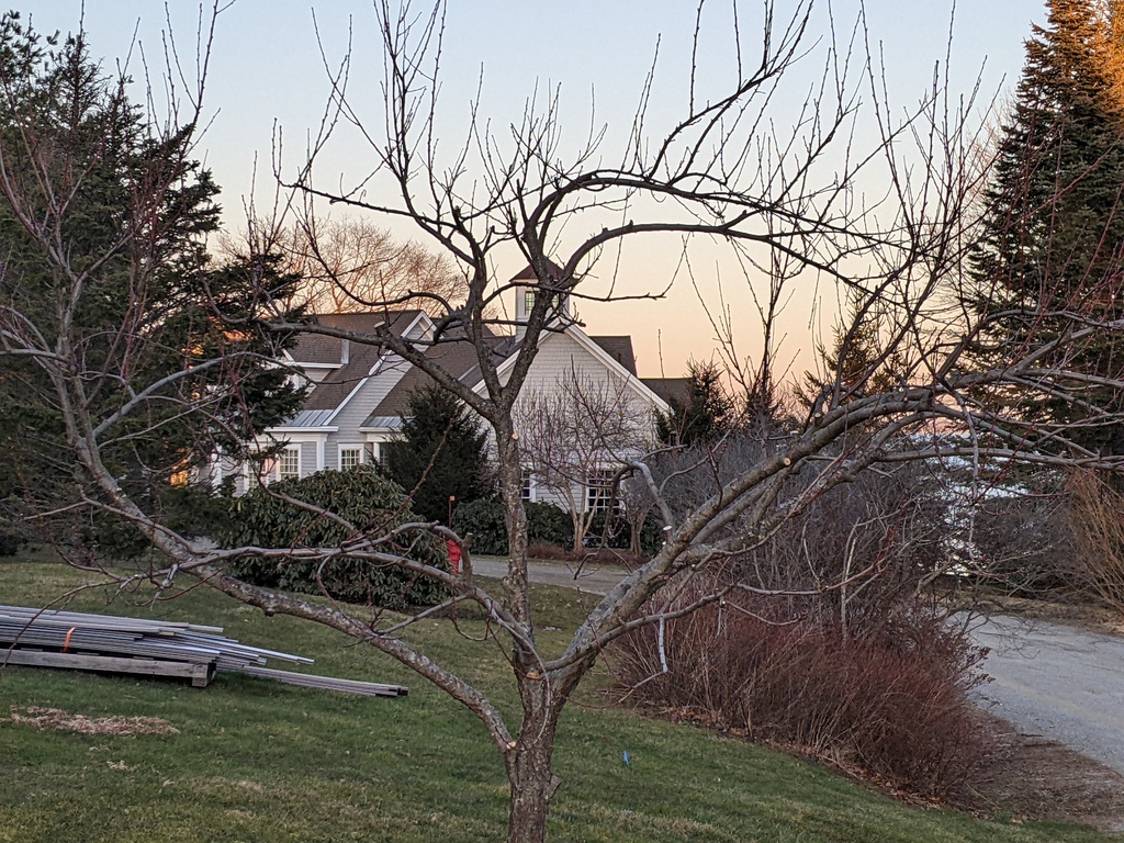 No description provided for: /2024/01-03/0331-peach-trees/photo02.html