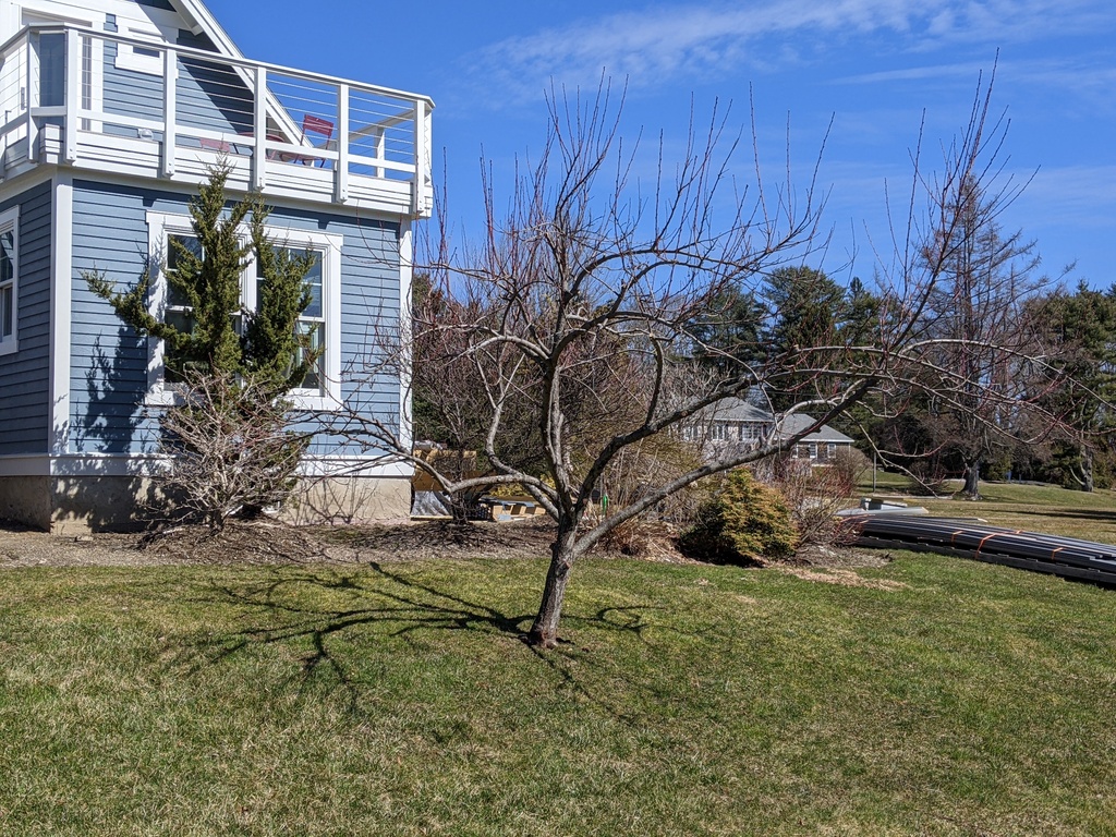 No description provided for: /2024/04-06/0401-peach-trees/photo02.html