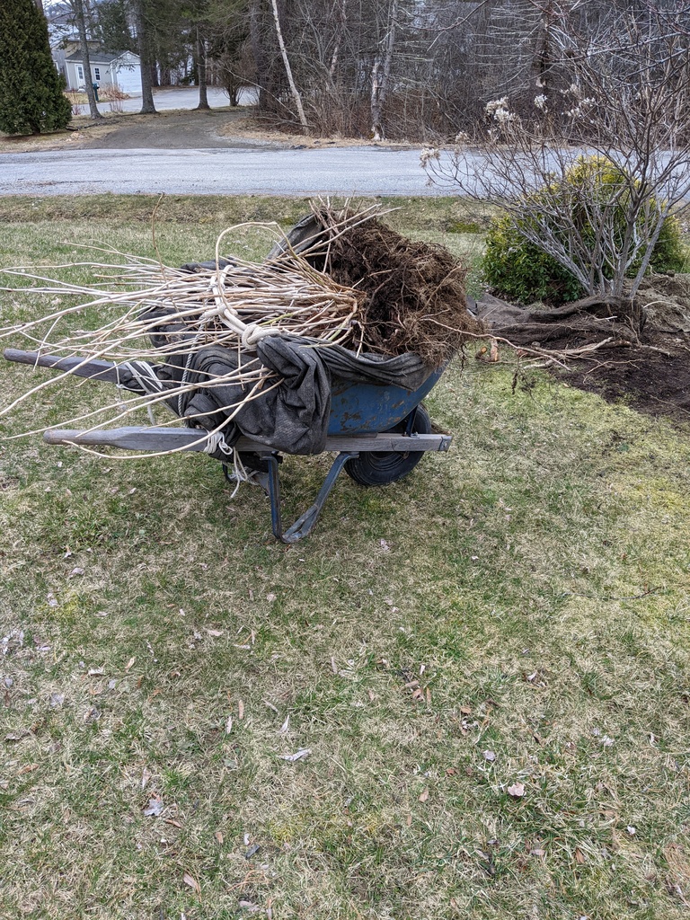 No description provided for: /2024/04-06/0403-hydrangea-move/photo03.html