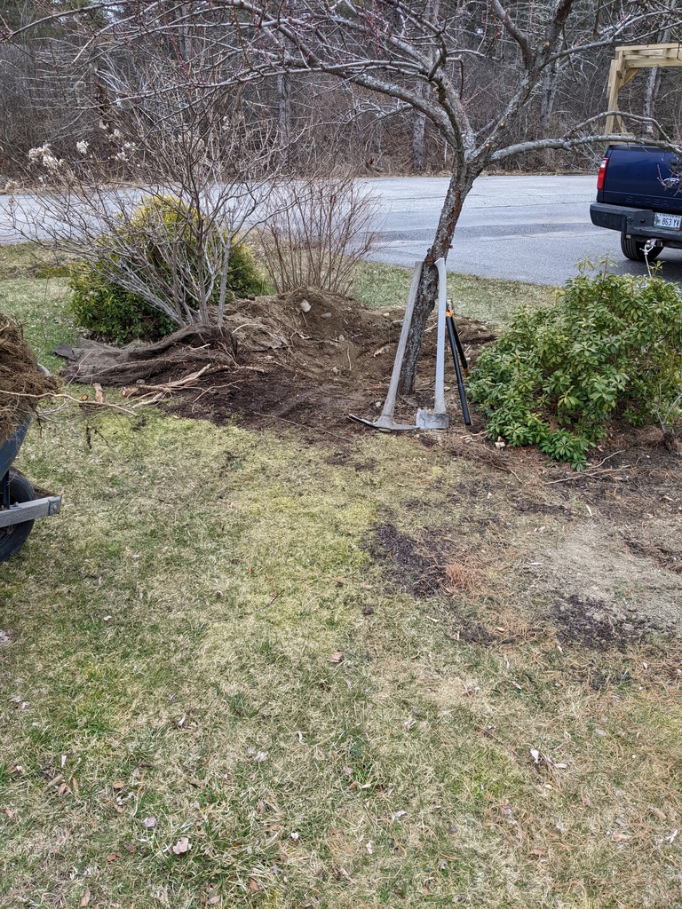 No description provided for: /2024/04-06/0403-hydrangea-move/photo04.html