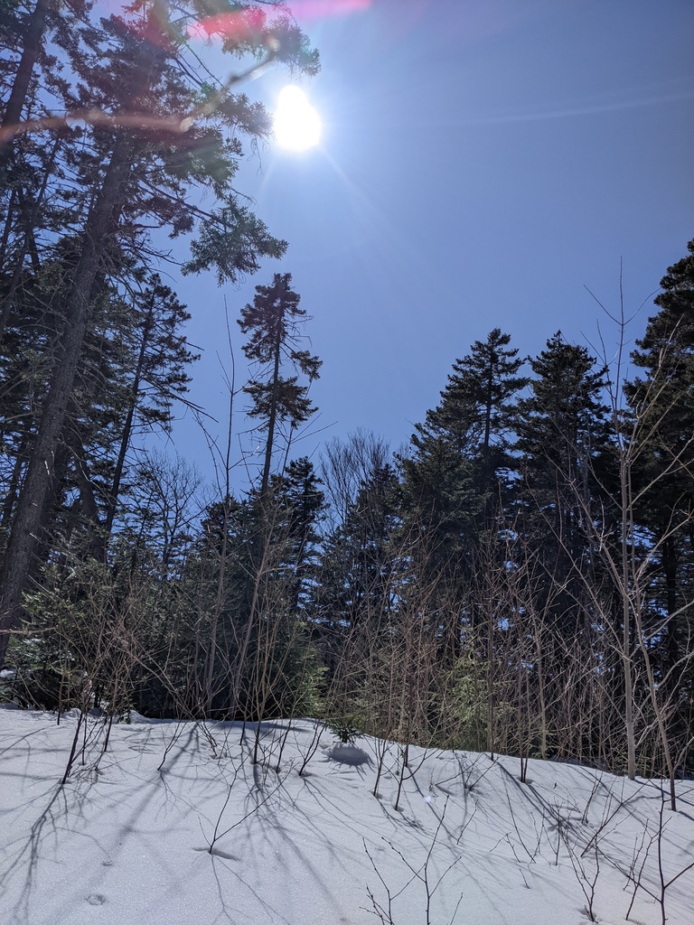 No description provided for: /2024/04-06/0408-solar-eclipse/_1/photo06.html