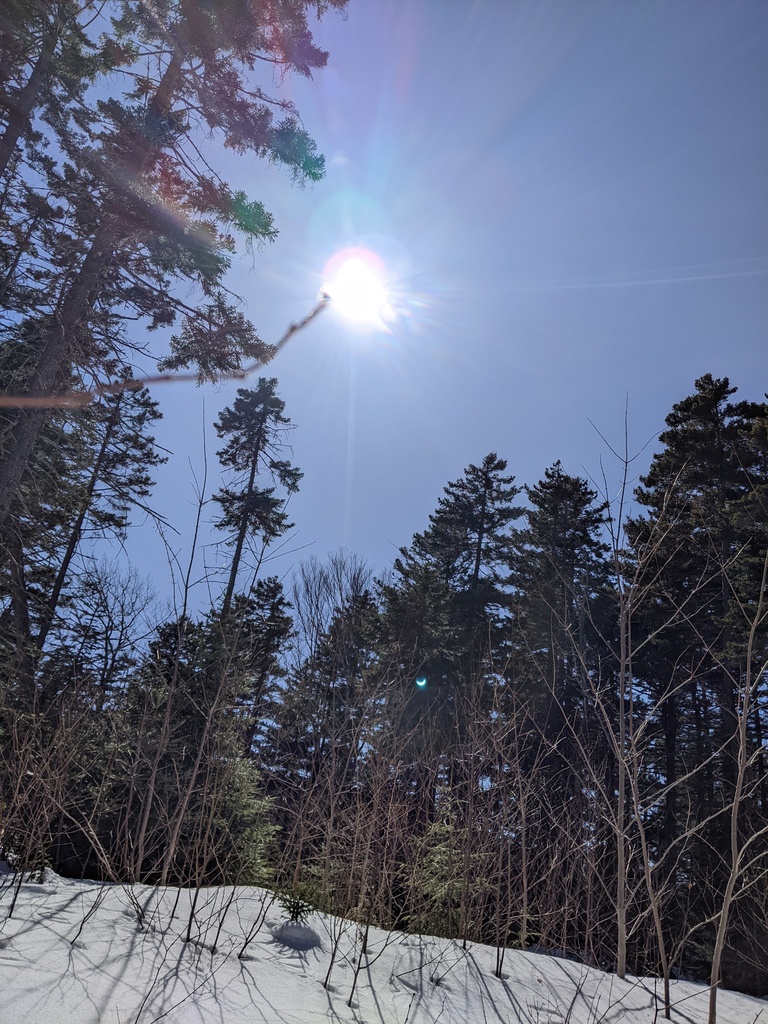 No description provided for: /2024/04-06/0408-solar-eclipse/_1/photo09.html