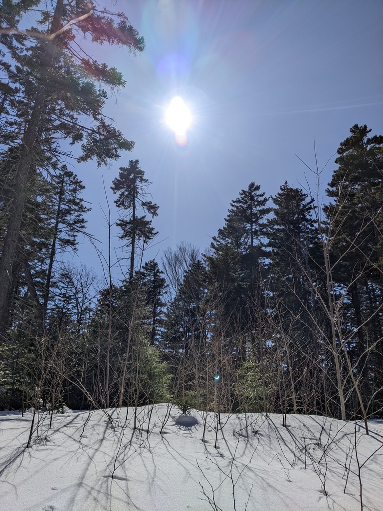 No description provided for: /2024/04-06/0408-solar-eclipse/_1/photo10.html